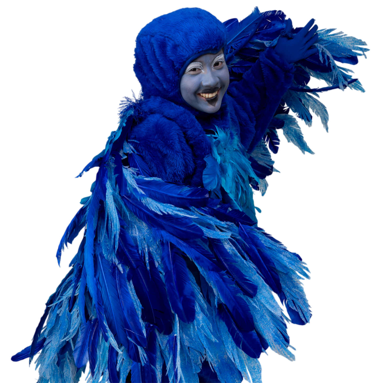 Arara Gracinha